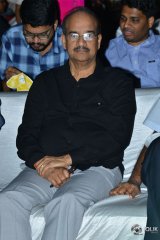 Naa Peru Surya Naa Illu India Pre Release Event Photos